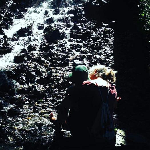 14362680_10154607216364656_2229768953292488749_o